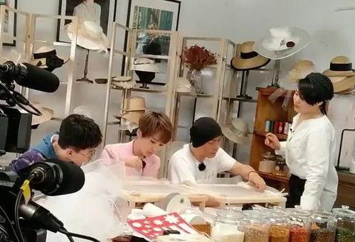 吃瓜群众们来聊聊,吃瓜群众视角下的娱乐圈风云录