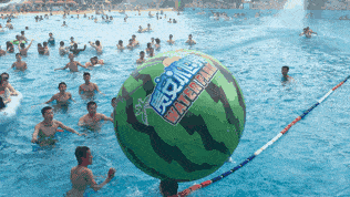 水世界吃瓜,揭秘神秘吃瓜背后的故事