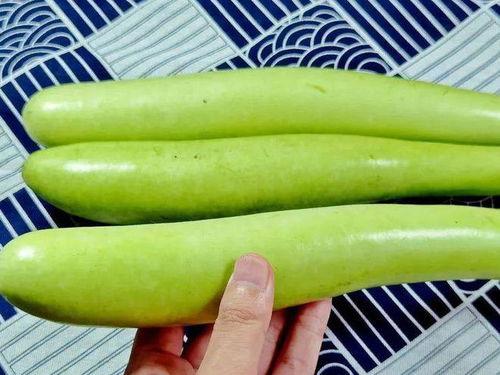 9广场吃瓜,揭秘网红美食背后的吃瓜故事