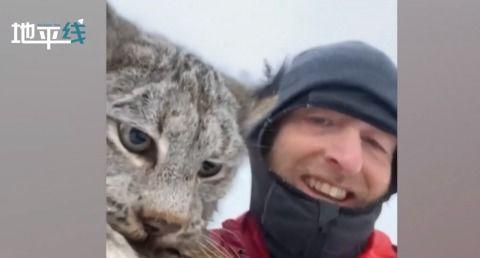 山猫无名 吃瓜,揭秘神秘吃瓜背后的故事