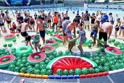 武汉玛雅吃瓜大赛,一场舌尖上的狂欢盛宴