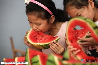 吃瓜少年江苏,揭秘娱乐圈背后的故事