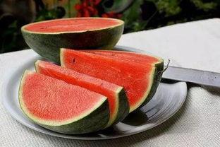 郑州大学吃瓜,揭秘校园生活趣味瞬间