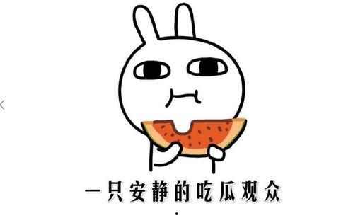 吃瓜事件最近新闻,最新“瓜田”事件追踪解析